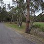 Broken Bay Sport & Recreation Centre