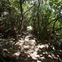 Cameron Boyd Reserve