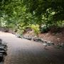 Auburn Botanic Gardens - Japanese Garden