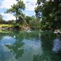 Auburn Botanic Gardens - Japanese Garden
