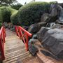 Auburn Botanic Gardens - Japanese Garden