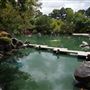 Auburn Botanic Gardens - Japanese Garden