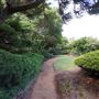 Edogawa Japanese Garden