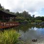 Edogawa Japanese Garden