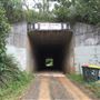 Tunnel on Tweed Valley Way
