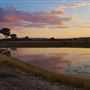 Western Focus Backdrop & Prop Studio - Mudgee Rural Location