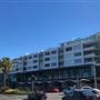 Bondi Beach