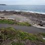 McKillop Park