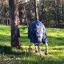 Clifden Park Stables