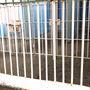 Parramatta Gaol
