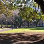 Belmore Park