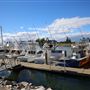 Bermagui