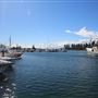 Bermagui