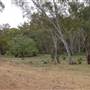 Whylandra Crossing, Dubbo