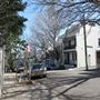Ann Street Houses - Surry Hills