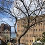 Foundation Park