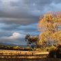 Narrabri Shire