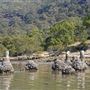 Hawkesbury River - Mooney Mooney & Milsons Passage