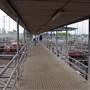 Dubbo Saleyards