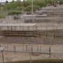 Dubbo Saleyards