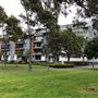 Ballaarat Park - Pyrmont