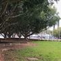 Pyrmont Bay Park
