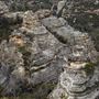 The Lost City