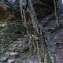 Mermaid's Cave