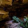 River Caves Canyon