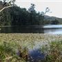 Clarrie Hall Dam