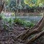 Clarrie Hall Dam