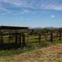 Coolamon Scenic Drive in the Byron Bay Hinterlands