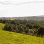 Coolamon Scenic Drive in the Byron Bay Hinterlands