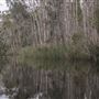 Cudgen Creek