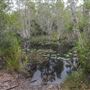 Tyagarah Nature Reserve