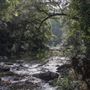 Whian Whian Falls