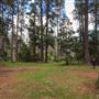 Jenolan State Forest