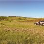 Taralga countryside