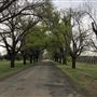 East Tamworth