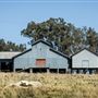 Bundarra