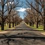 Armidale