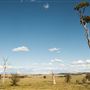Armidale