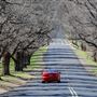 Armidale