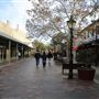 Windsor