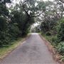 Nielsen Park