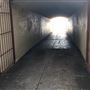 Tunnel - Nielson Park