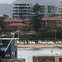 Residential Buildings - Wollongong