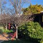Milton Village Green