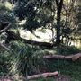 Trumper Park