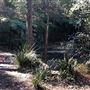 Trumper Park
